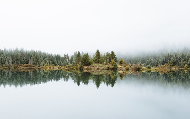 деревья, озеро, природа, отражение, туман, trees, lake, nature, reflection, fog