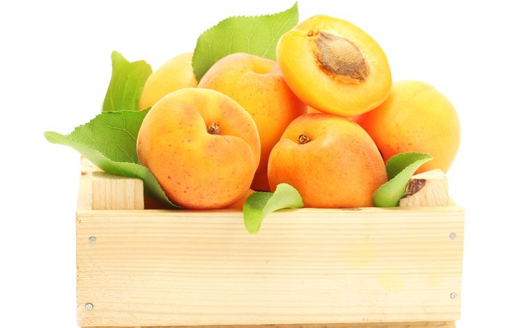 фрукты, ящик, абрикосы, fruit, box, apricots