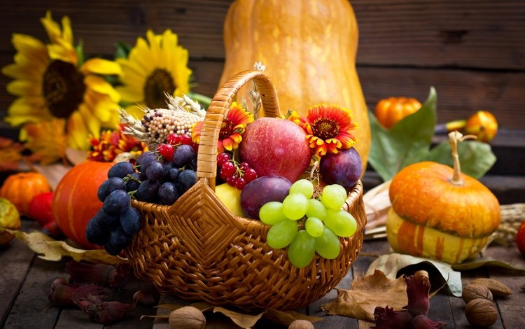 цветы, ягоды, красотуля, листья, яблоко, орехи, урожай, виноград, овощи, фрукты, яблок, тыква, яблоки, натюрморт, корзина,  цветы, подсолнухи, осен, flowers, berries, leaves, apple, nuts, harvest, grapes, vegetables, fruit, pumpkin, apples, still life, basket, sunflowers, autumn