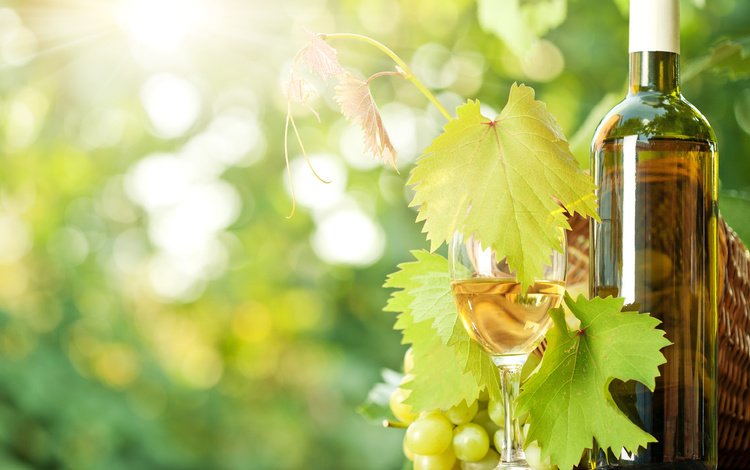 виноград, бокал, вино, бутылка, солнечные лучи, grapes, glass, wine, bottle, the sun's rays