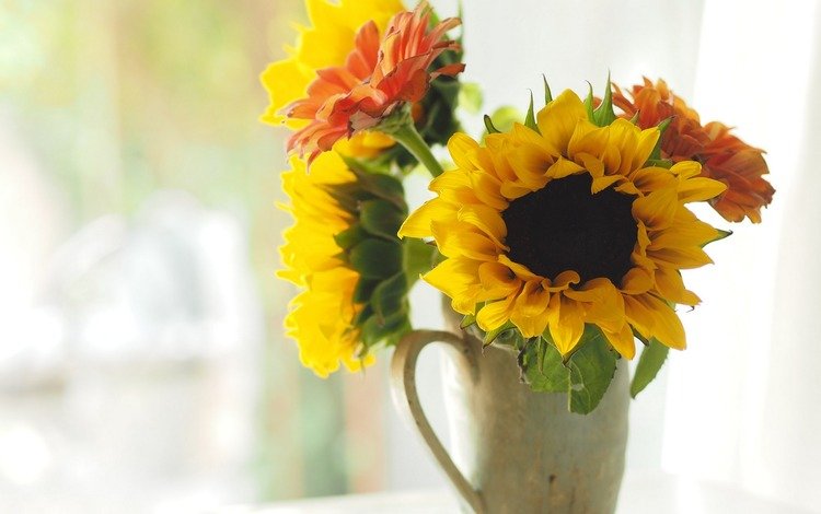 цветы, букет, подсолнухи, ваза,  цветы, flowers, bouquet, sunflowers, vase