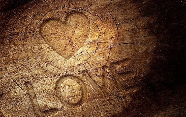 дерево, сердце, любовь, древесина, дерева, влюбленная, сердечка, tree, heart, love, wood