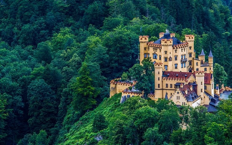 лес, замок, германия, бавария, хоэншвангау, красочная, forest, castle, germany, bayern, hohenschwangau, colorful