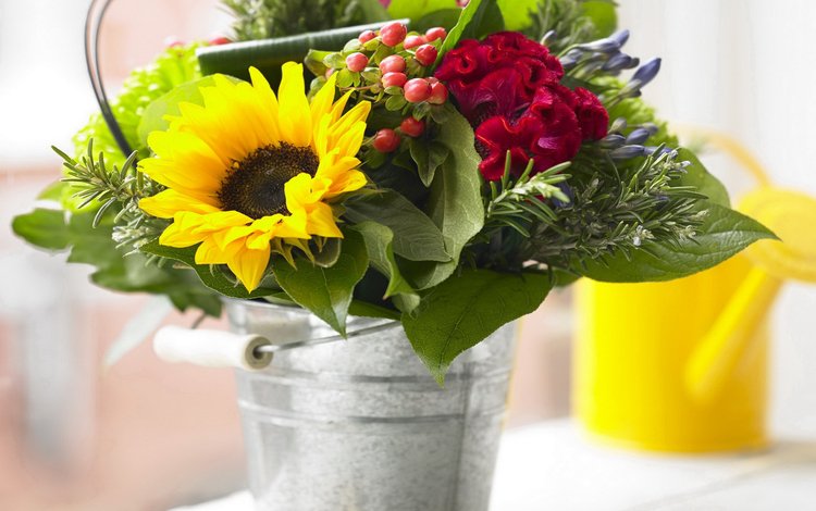 цветы, фото, подсолнухи, гвоздики, flowers, photo, sunflowers, clove