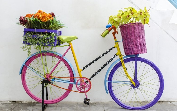 цветы, ретро, букет, велосипед,  цветы, флористика, flowers, retro, bouquet, bike, floral