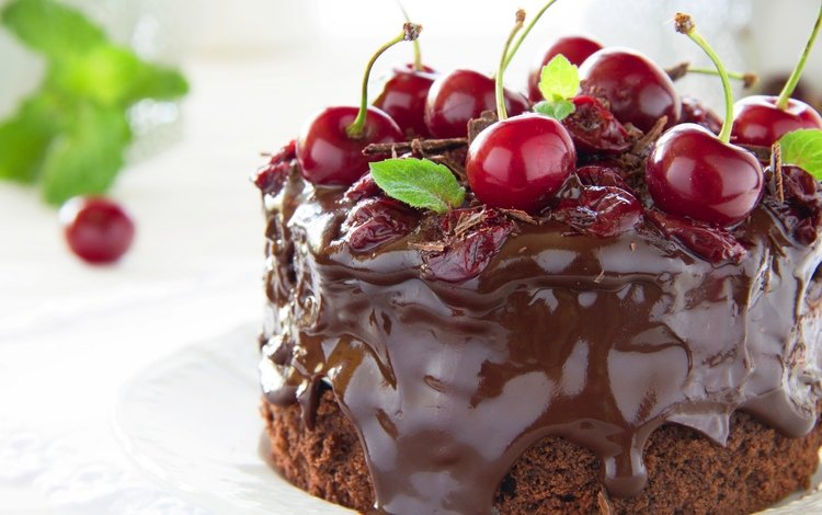 ягоды, вишня, шоколад, торт, шоколадный торт, berries, cherry, chocolate, cake, chocolate cake