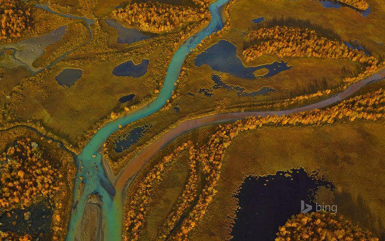 деревья, река, панорама, краски, осень, швеция, sarek national park, trees, river, panorama, paint, autumn, sweden