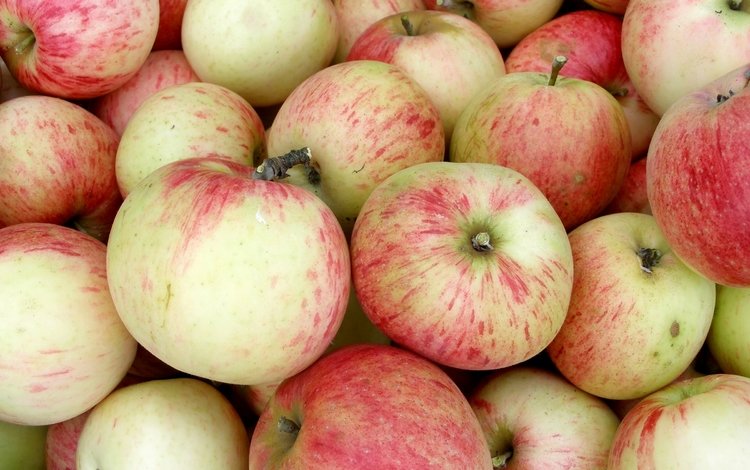 фрукты, яблоки, плоды, fruit, apples