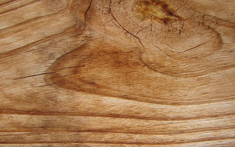 дерево, текстура, фон, древесина, етекстура, tree, texture, background, wood