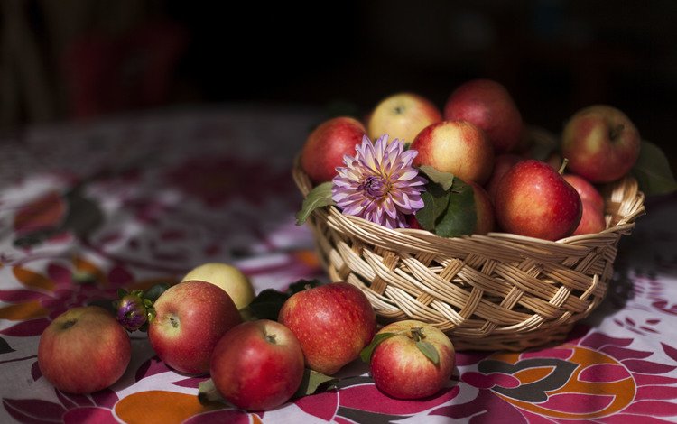 еда, фрукты, яблоки, food, fruit, apples