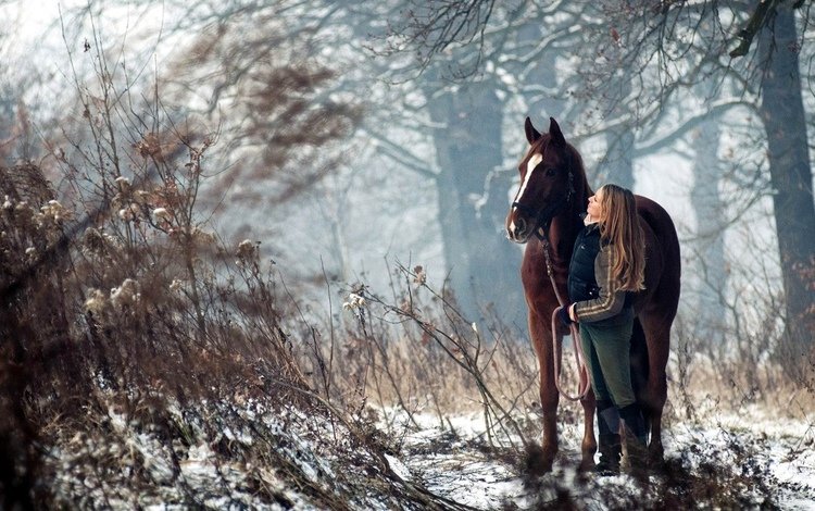 лошадь, деревья, снег, лес, девушка, конь, наездница, horse, trees, snow, forest, girl, rider