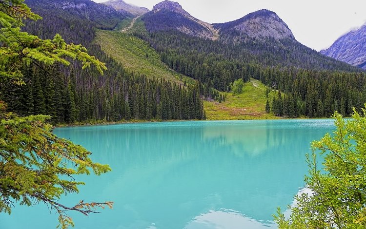 озеро, горы, канада, скалистые горы, изумрудное озеро, lake, mountains, canada, rocky mountains, emerald lake