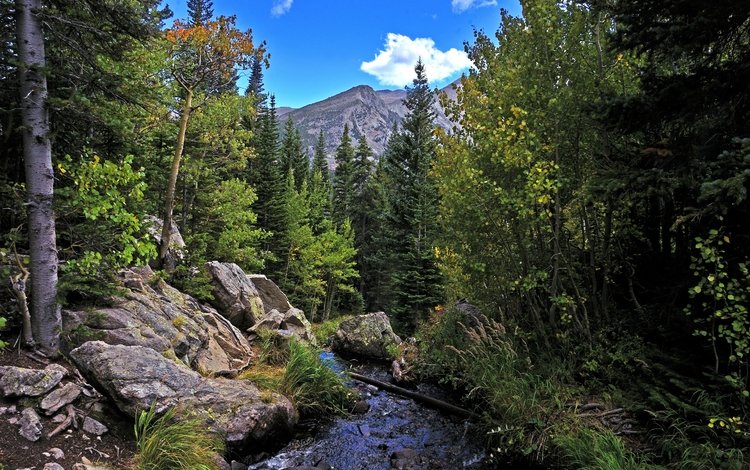 деревья, река, горы, скалы, лес, пейзаж, осень, rocky mountain national park, trees, river, mountains, rocks, forest, landscape, autumn