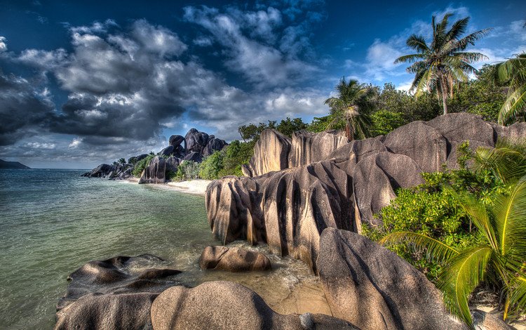скалы, камни, берег, пейзаж, море, пальмы, сейшелы, сейшельские острова, rocks, stones, shore, landscape, sea, palm trees, seychelles