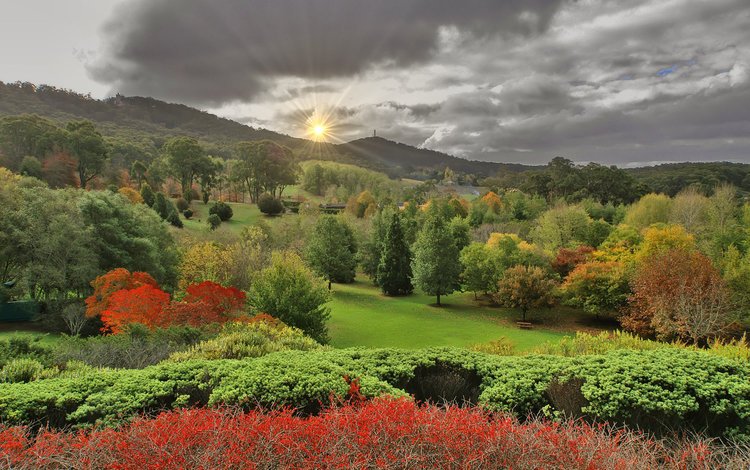 пейзаж, осень, lofty botanic gardens, аделаида-хиллс, южная австралия, landscape, autumn, adelaide hills, south australia