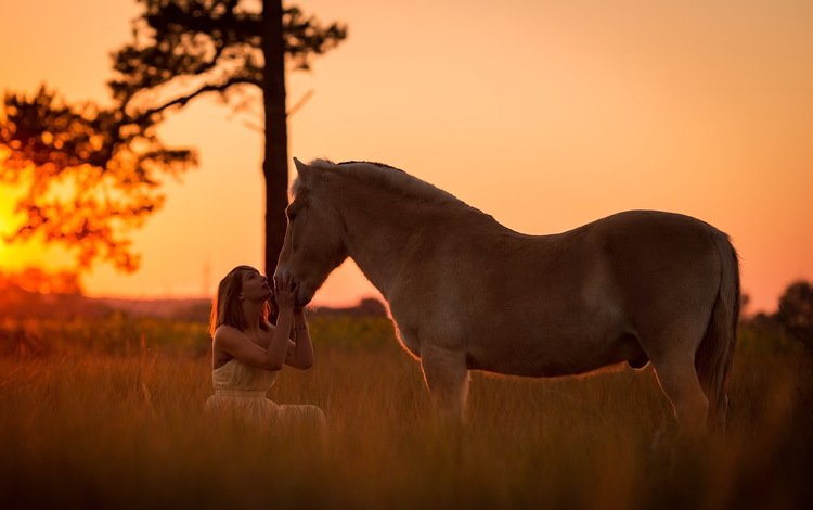 закат, девушка, настроение, конь, sunset, girl, mood, horse
