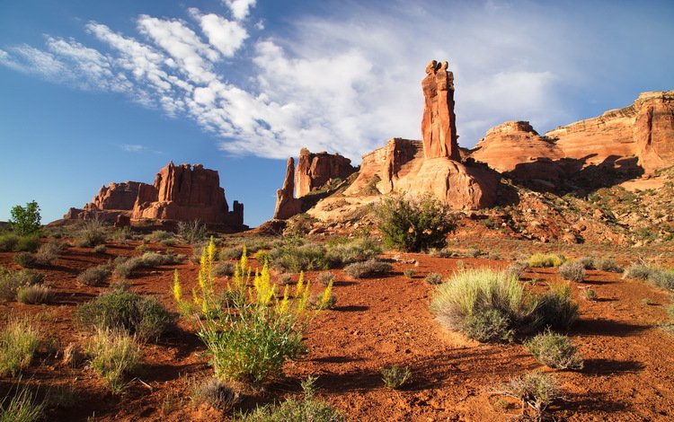 скалы, пустыня, каньон, сша, юта, национальный парк арки, rocks, desert, canyon, usa, utah, arches national park