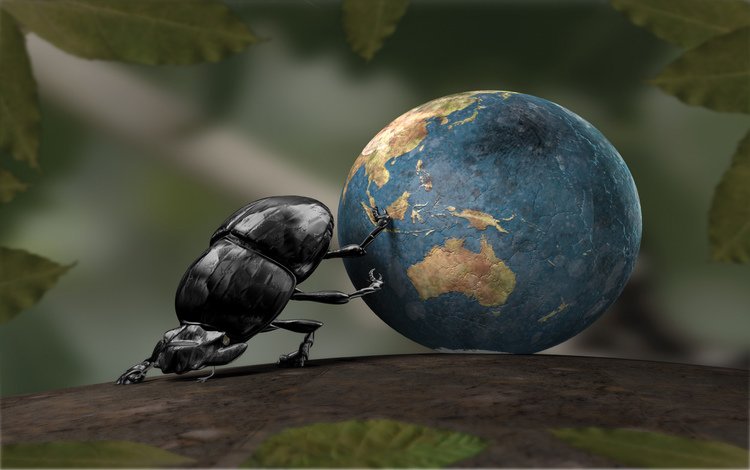земля, шарик, листики, шук навозник, 3д, earth, ball, leaves, shuk beetle, 3d