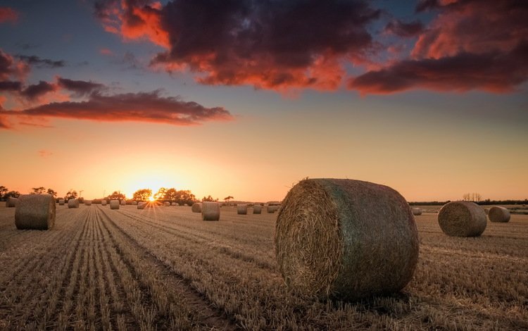небо, природа, закат, поле, сено, тюки, рулоны, the sky, nature, sunset, field, hay, bales, rolls