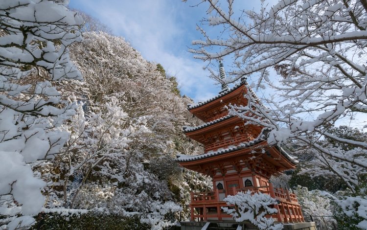 деревья, mimuroto-ji temple, снег, храм, зима, ветки, пагода, япония, киото, trees, snow, temple, winter, branches, pagoda, japan, kyoto