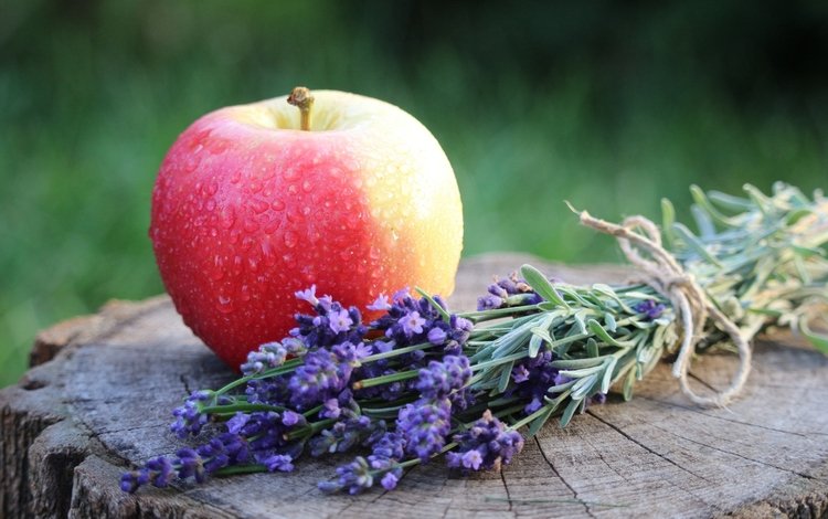 цветы, лаванда, плод, фрукт, яблоко, flowers, lavender, the fruit, fruit, apple