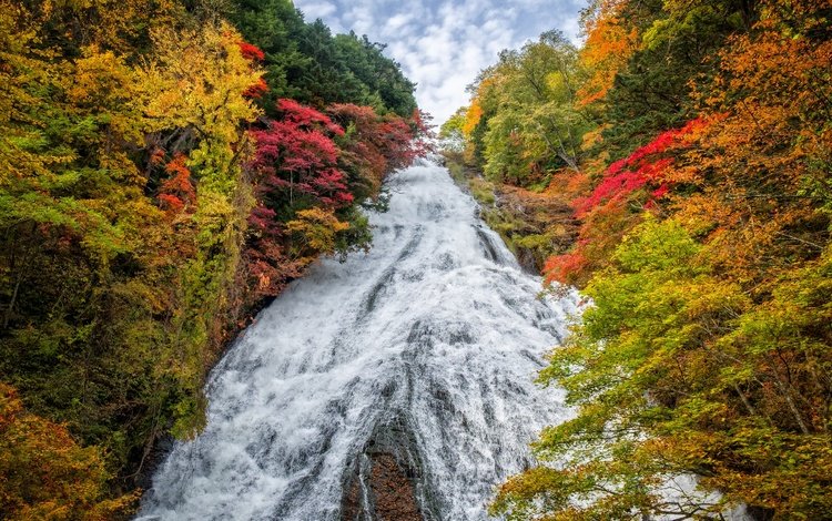 деревья, пейзаж, водопад, осень, япония, yudaki waterfall, trees, landscape, waterfall, autumn, japan