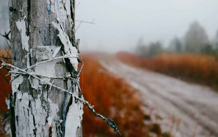 дорога, природа, туман, проволока, забор, колючая проволока, столб, road, nature, fog, wire, the fence, barbed wire, post