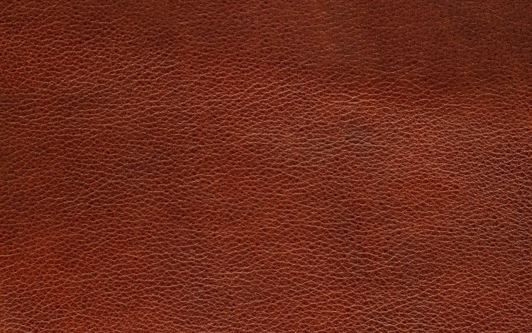 текстура, цвет, форма, кожа, texture, color, form, leather