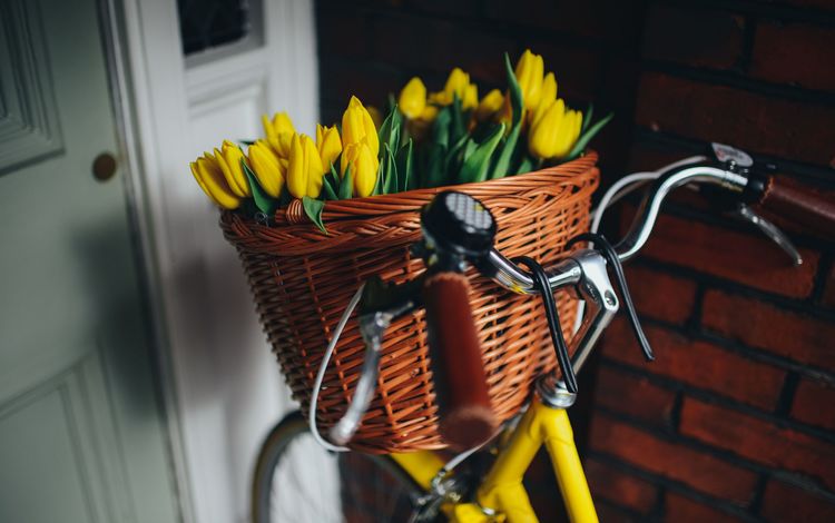 цветы, корзина, тюльпаны, красивые, велосипед, flowers, basket, tulips, beautiful, bike
