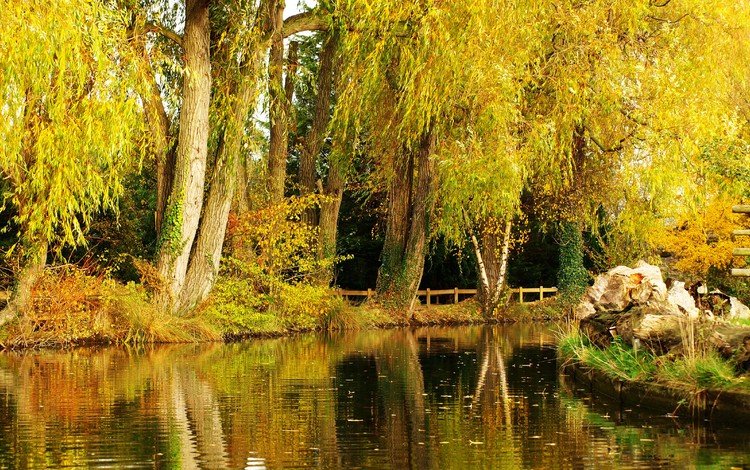 деревья, пейзаж, парк, осень, пруд, trees, landscape, park, autumn, pond