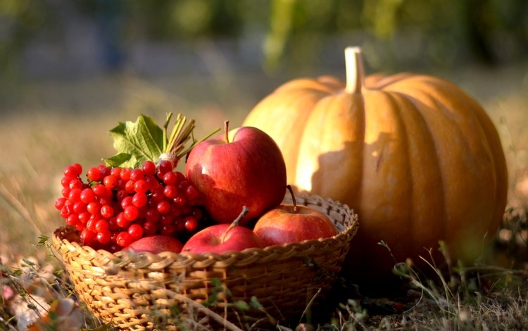 яблоки, осень, ягоды, плоды, тыква, калина, apples, autumn, berries, fruit, pumpkin, kalina