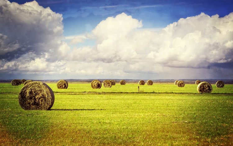 трава, облака, пейзаж, поле, сено, тюки, фермы, рулоны, grass, clouds, landscape, field, hay, bales, farm, rolls