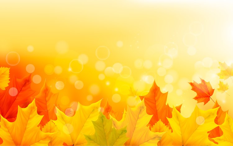 цвета, листья, фон, осень, color, leaves, background, autumn
