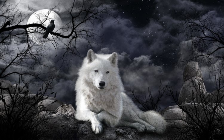 арт, ночь, луна, волк, art, night, the moon, wolf