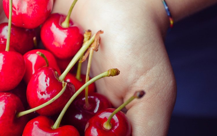 рука, черешня, ягоды, вишня, ладонь, hand, cherry, berries, palm