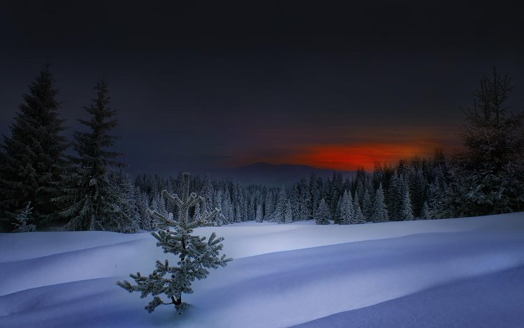 обои, закат, зима, болгария, wallpaper, sunset, winter, bulgaria