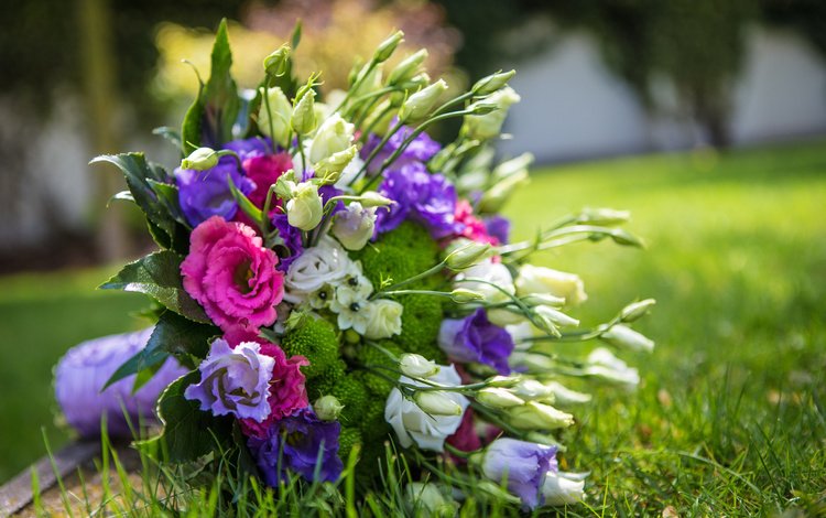 цветы, букет,  цветы, эустома, flowers, bouquet, eustoma