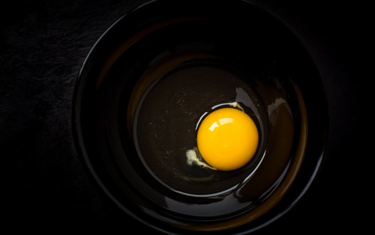 макро, фон, черный фон, яйцо, миска, желток, macro, background, black background, egg, bowl, the yolk