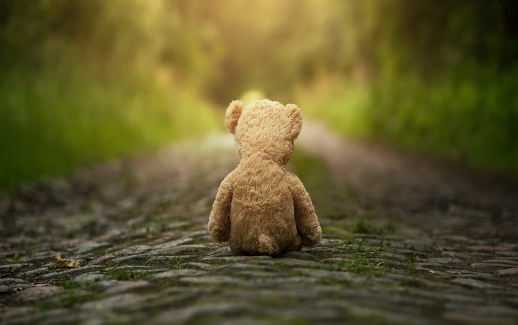 дорога, медведь, мишка, игрушка, плюшевый мишка, мягкая игрушка, road, bear, toy, teddy bear, soft toy