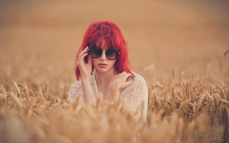 девушка, поле, очки, пшеница, girl, field, glasses, wheat