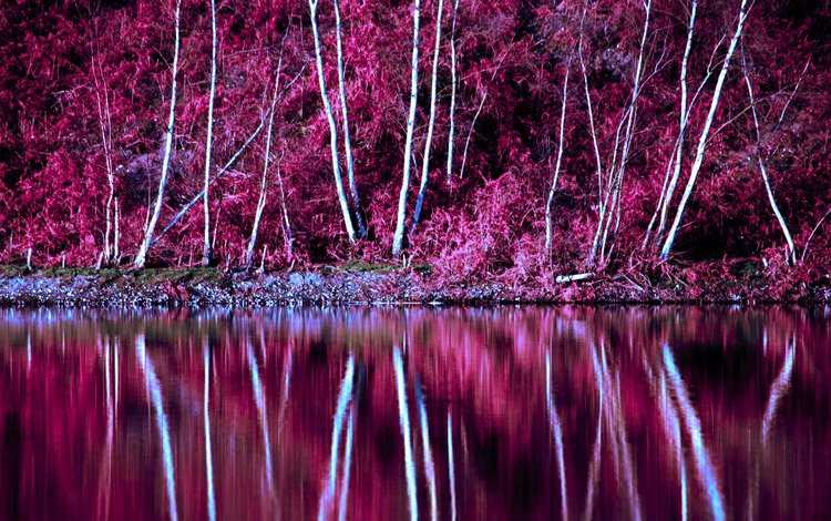 деревья, озеро, отражение, склон, осень, trees, lake, reflection, slope, autumn