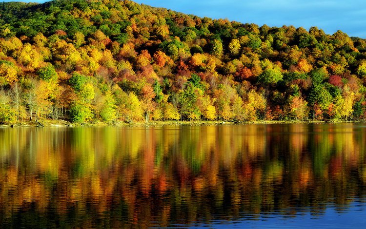 деревья, вода, отражение, осень, красота, пейзаж. природа, время года, trees, water, reflection, autumn, beauty, landscape. nature, time of the year