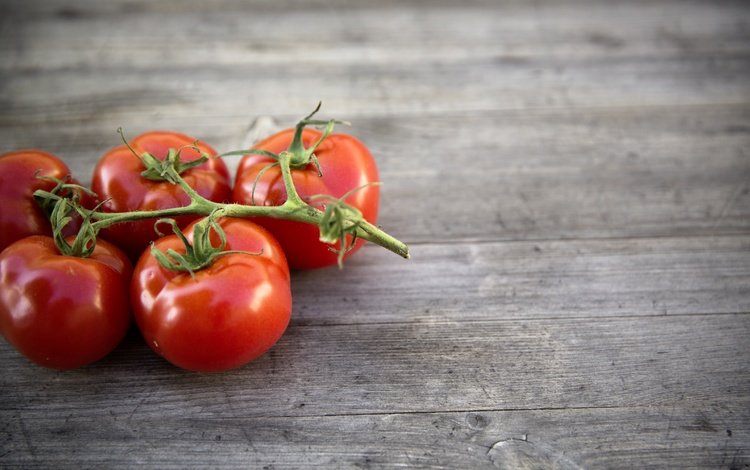 фон, овощи, помидоры, томаты, background, vegetables, tomatoes