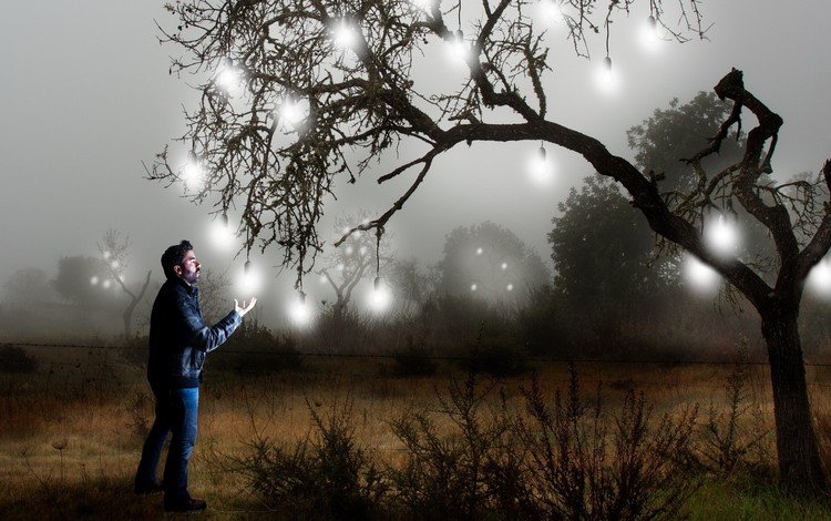 свет, дерево, человек, креатив, лампочки, light, tree, people, creative, light bulb