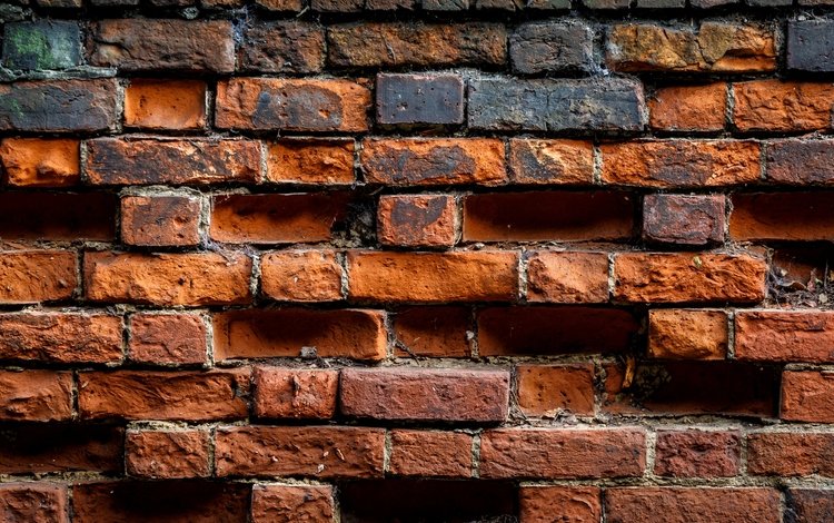 фон, цвет, стена, кирпичи, кирпичная стена, бурые, background, color, wall, bricks, brick wall, brown