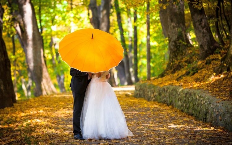 зонтик, жених, невеста, композиция, umbrella, the groom, the bride, composition