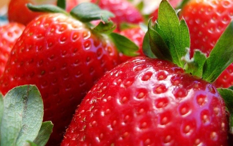 ягода, еда, клубника, berry, food, strawberry