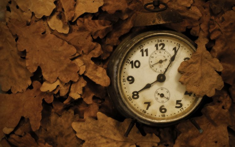 листья, фон, часы, leaves, background, watch