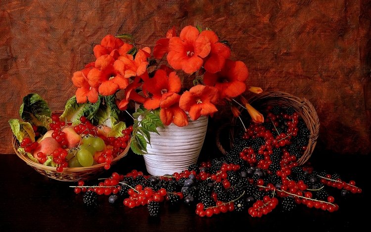 цветы, виноград, ягоды, красная смородина, натюрморт, ежевика, flowers, grapes, berries, red currant, still life, blackberry