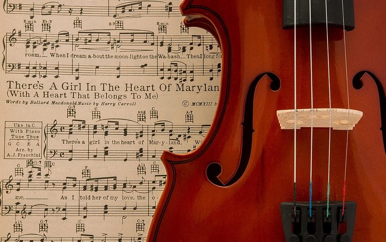 ноты, скрипка, музыка, notes, violin, music